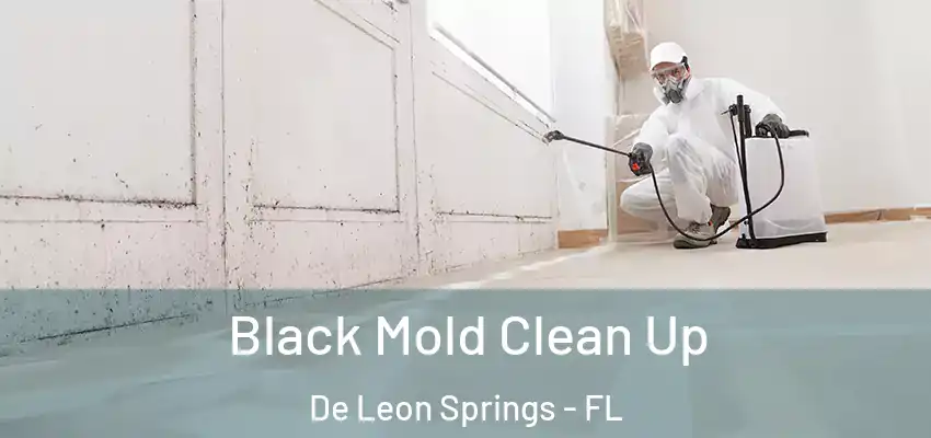  Black Mold Clean Up De Leon Springs - FL