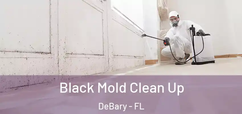  Black Mold Clean Up DeBary - FL