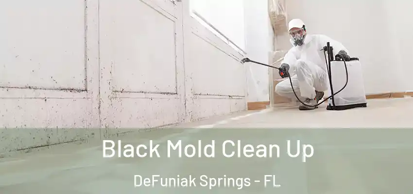 Black Mold Clean Up DeFuniak Springs - FL