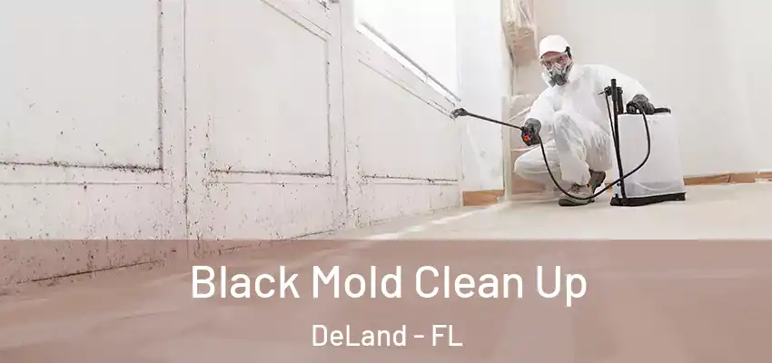  Black Mold Clean Up DeLand - FL