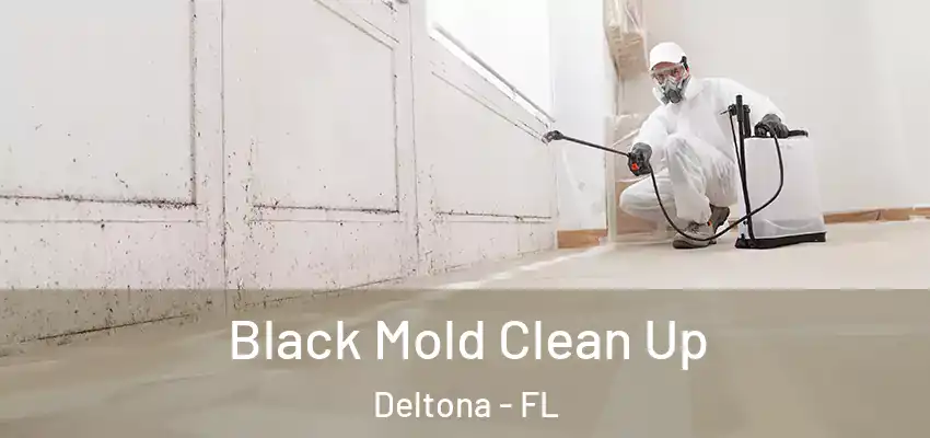 Black Mold Clean Up Deltona - FL