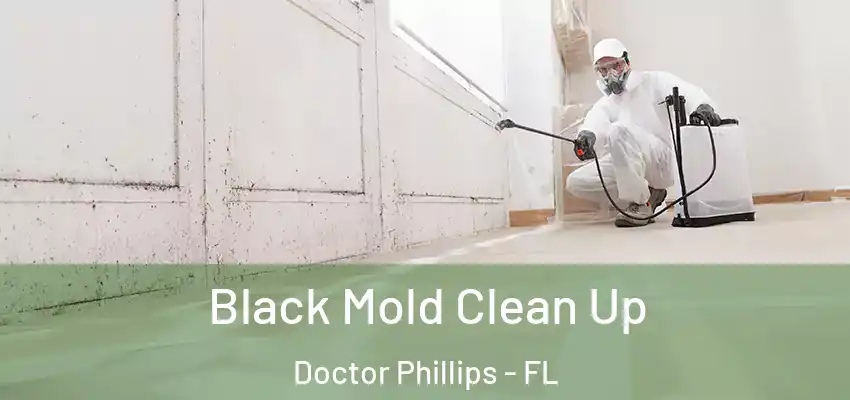  Black Mold Clean Up Doctor Phillips - FL