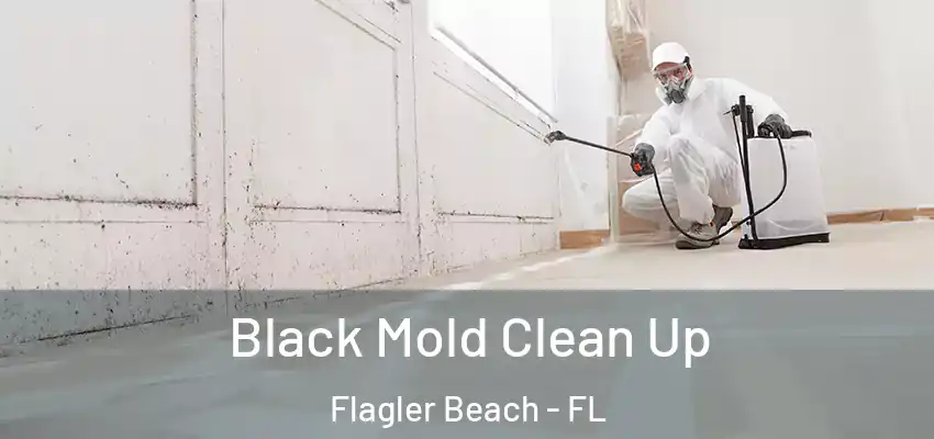  Black Mold Clean Up Flagler Beach - FL