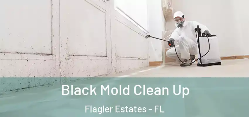 Black Mold Clean Up Flagler Estates - FL