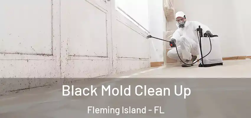 Black Mold Clean Up Fleming Island - FL