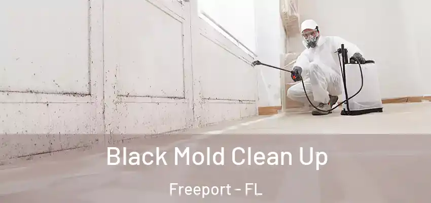  Black Mold Clean Up Freeport - FL