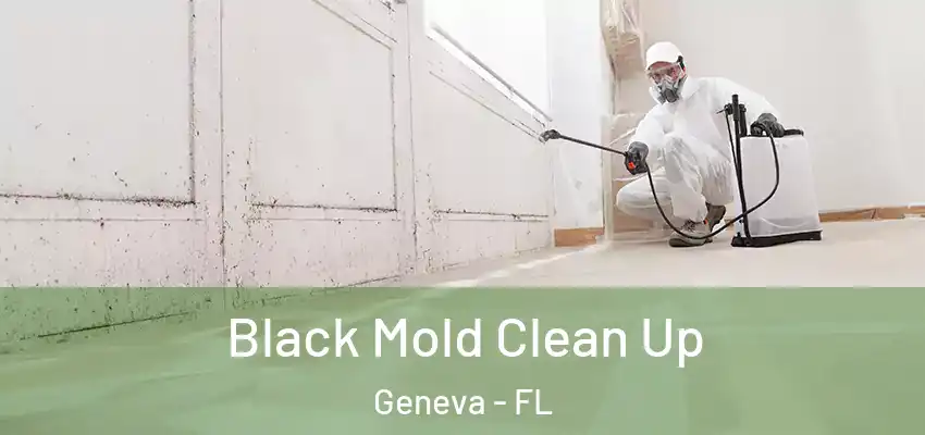 Black Mold Clean Up Geneva - FL