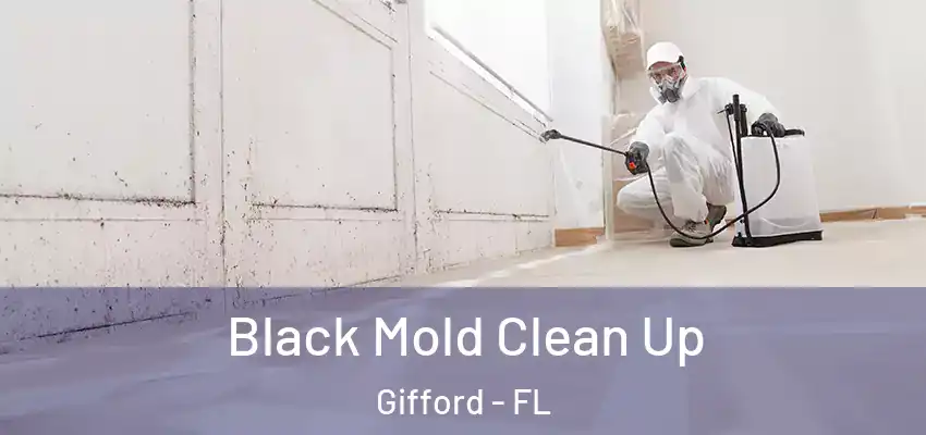 Black Mold Clean Up Gifford - FL
