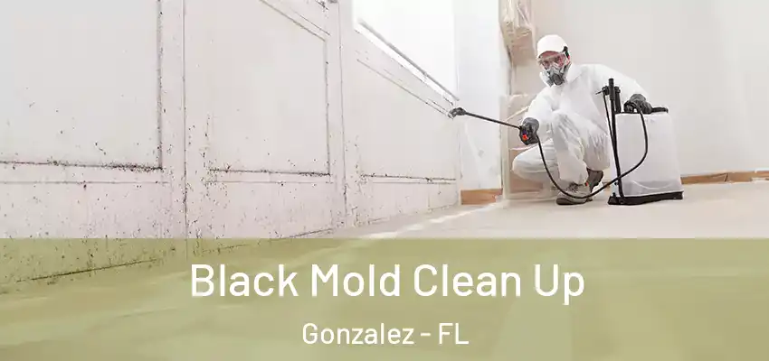  Black Mold Clean Up Gonzalez - FL