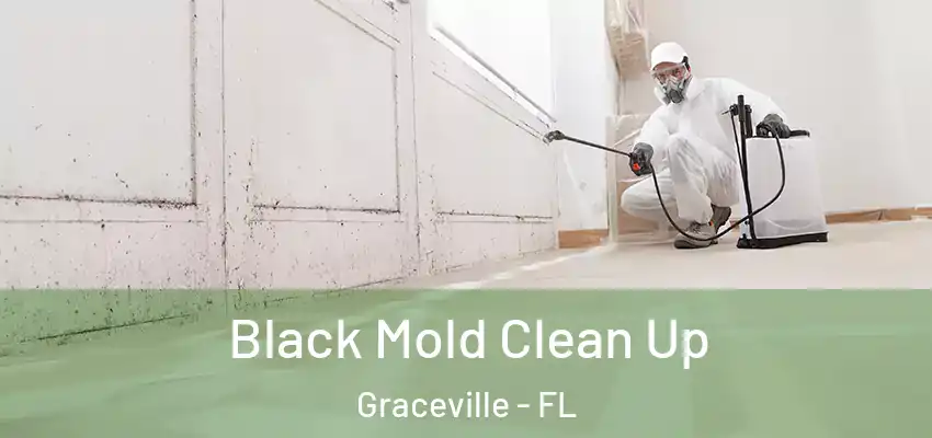  Black Mold Clean Up Graceville - FL