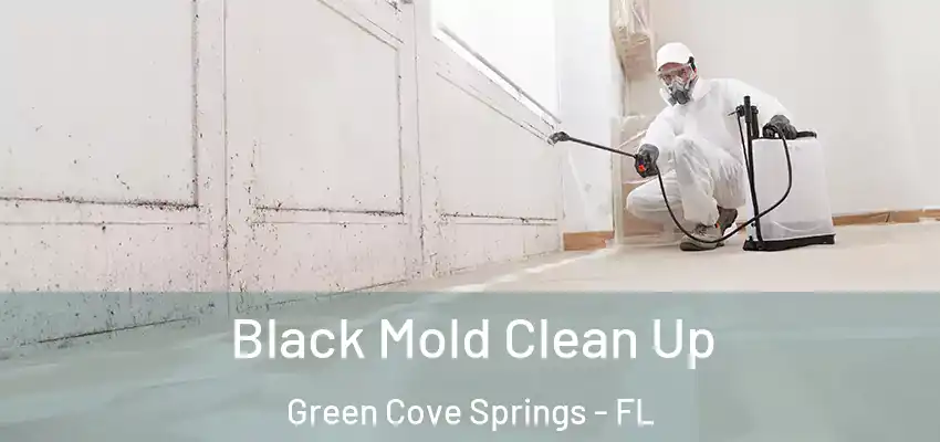 Black Mold Clean Up Green Cove Springs - FL