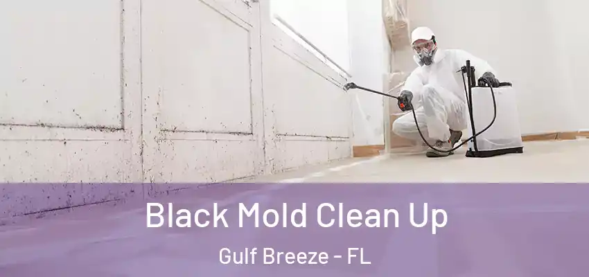  Black Mold Clean Up Gulf Breeze - FL