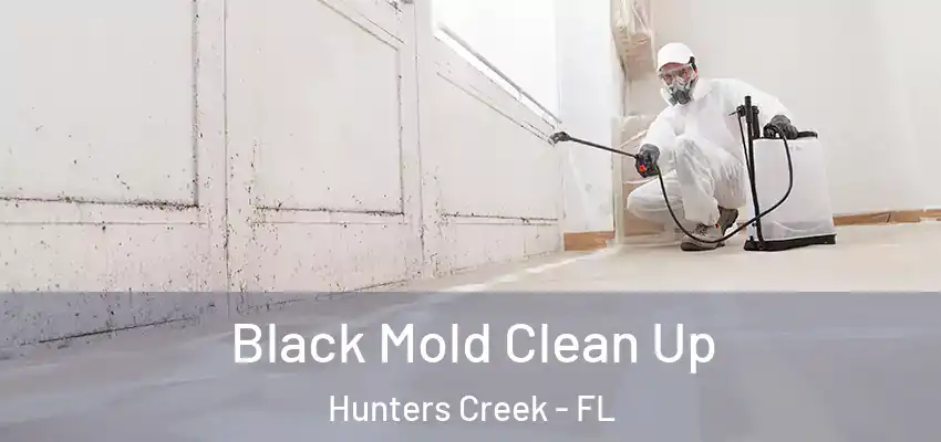  Black Mold Clean Up Hunters Creek - FL