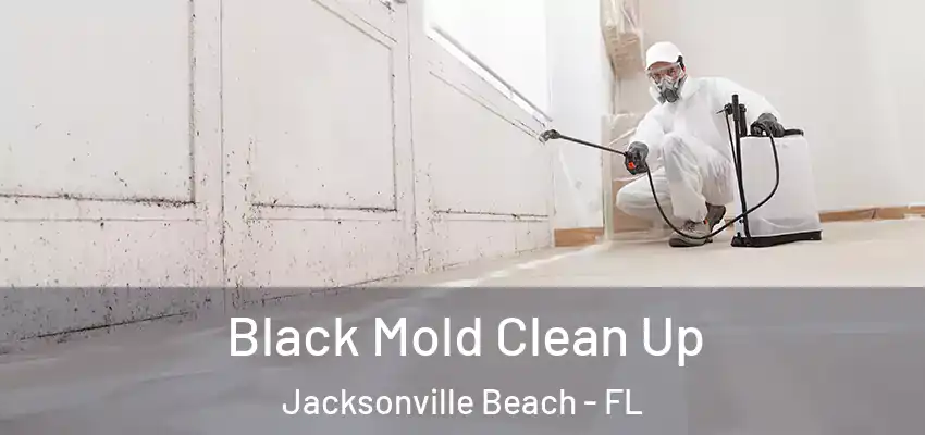  Black Mold Clean Up Jacksonville Beach - FL