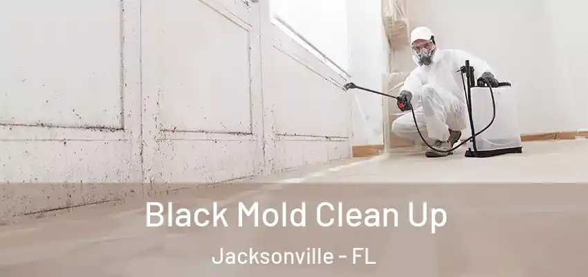  Black Mold Clean Up Jacksonville - FL