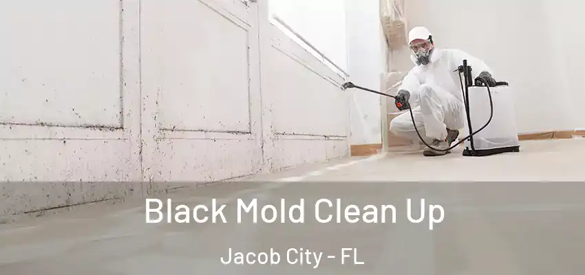  Black Mold Clean Up Jacob City - FL