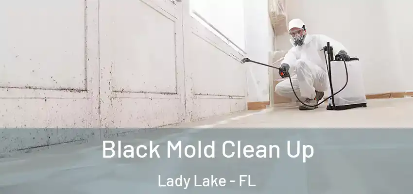  Black Mold Clean Up Lady Lake - FL