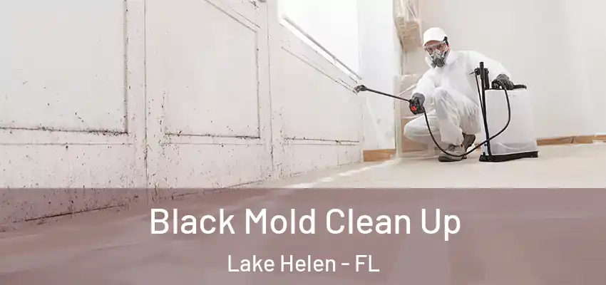  Black Mold Clean Up Lake Helen - FL