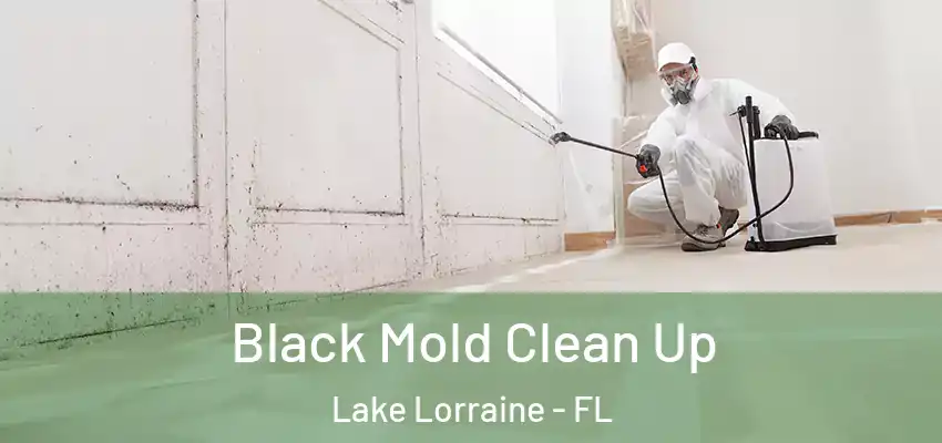  Black Mold Clean Up Lake Lorraine - FL