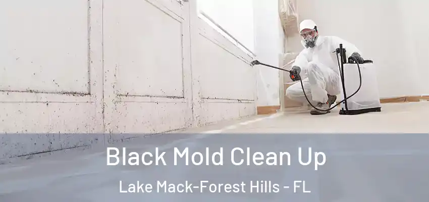  Black Mold Clean Up Lake Mack-Forest Hills - FL