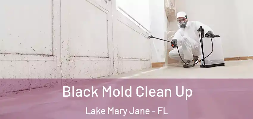  Black Mold Clean Up Lake Mary Jane - FL