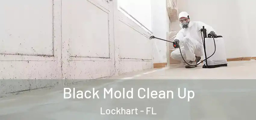  Black Mold Clean Up Lockhart - FL