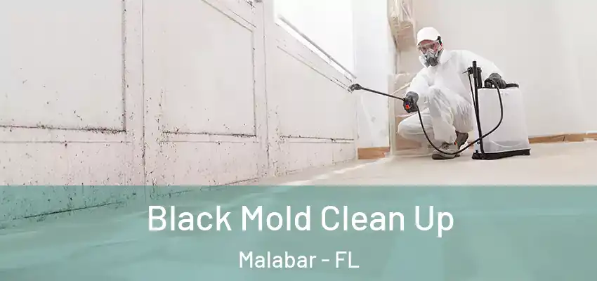 Black Mold Clean Up Malabar - FL