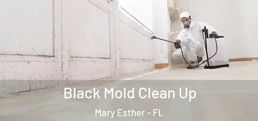  Black Mold Clean Up Mary Esther - FL