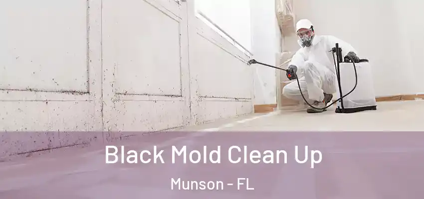  Black Mold Clean Up Munson - FL