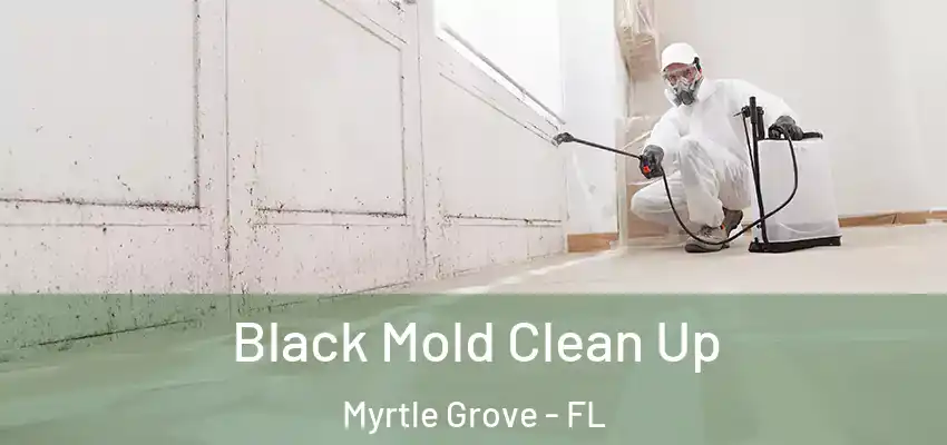  Black Mold Clean Up Myrtle Grove - FL