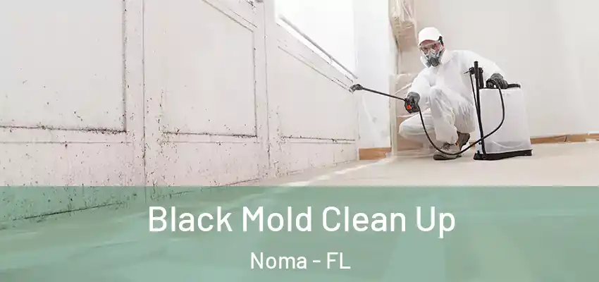 Black Mold Clean Up Noma - FL