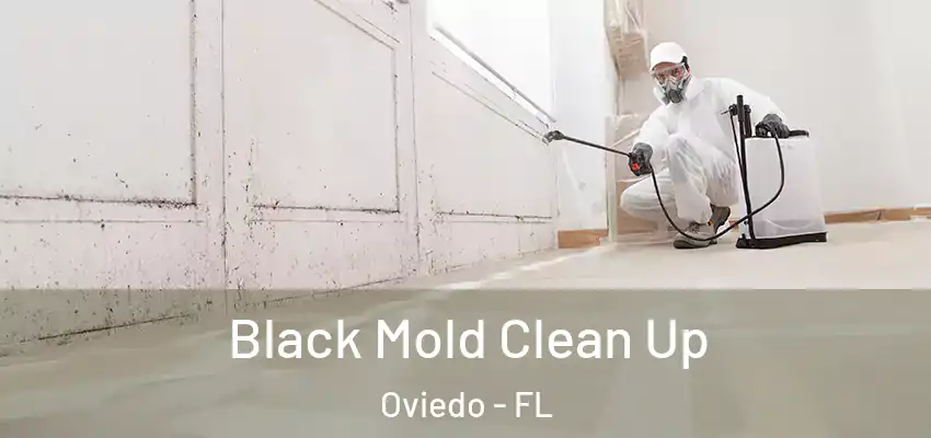 Black Mold Clean Up Oviedo - FL