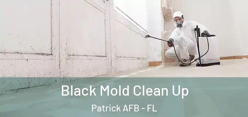 Black Mold Clean Up Patrick AFB - FL