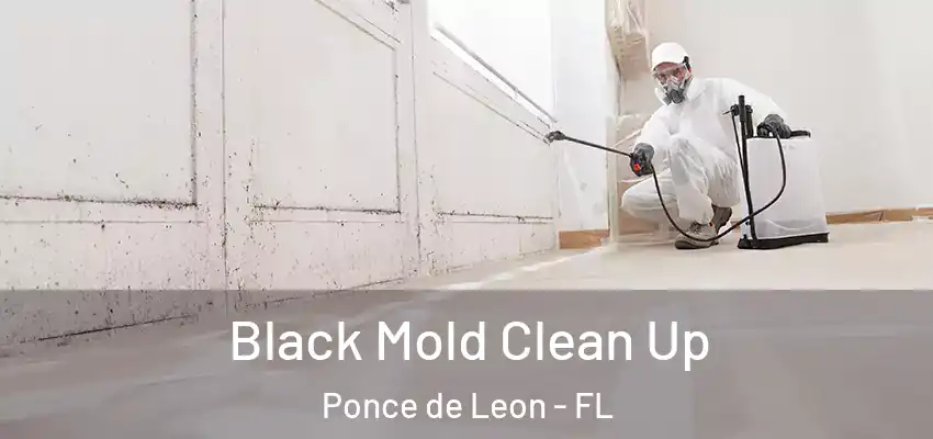 Black Mold Clean Up Ponce de Leon - FL