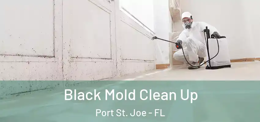 Black Mold Clean Up Port St. Joe - FL
