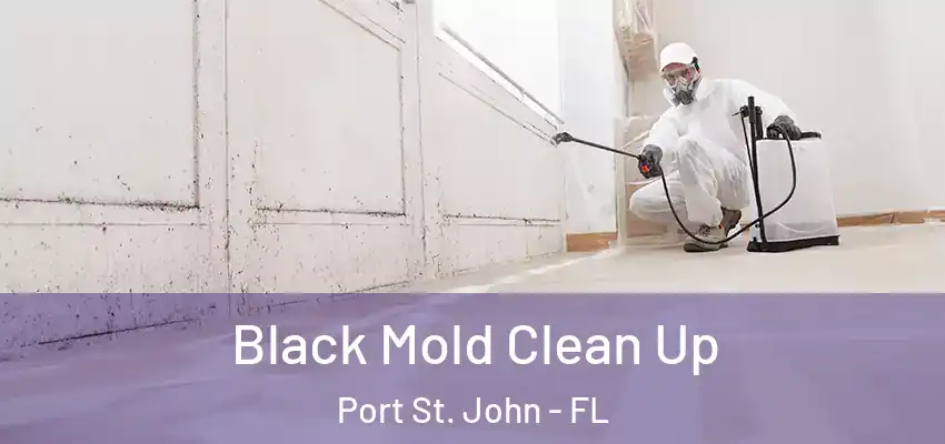  Black Mold Clean Up Port St. John - FL