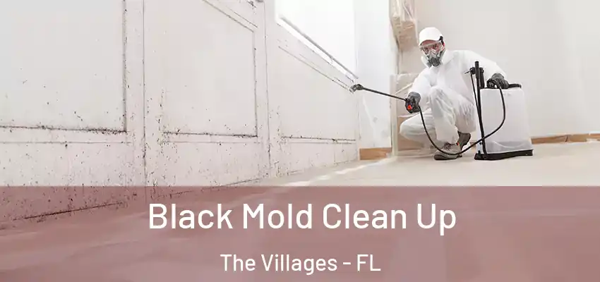  Black Mold Clean Up The Villages - FL