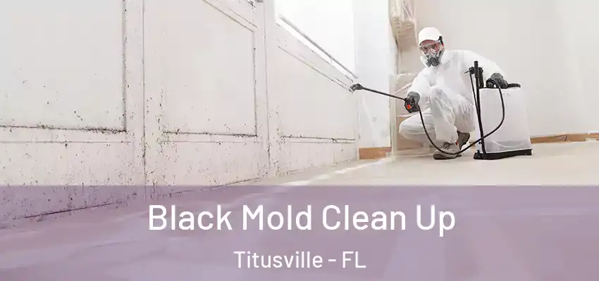  Black Mold Clean Up Titusville - FL