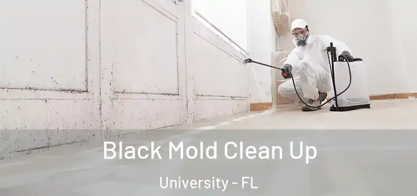 Black Mold Clean Up University - FL