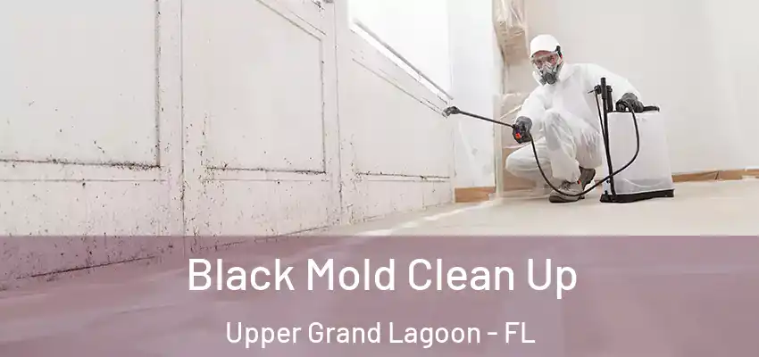 Black Mold Clean Up Upper Grand Lagoon - FL