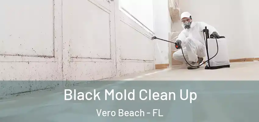  Black Mold Clean Up Vero Beach - FL