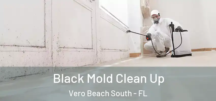  Black Mold Clean Up Vero Beach South - FL