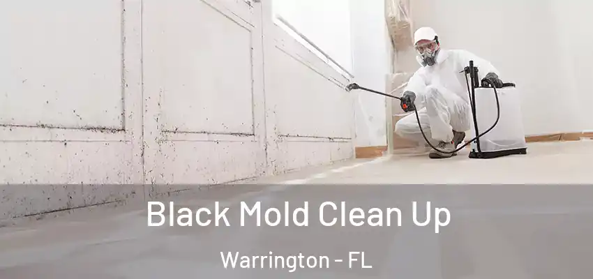 Black Mold Clean Up Warrington - FL