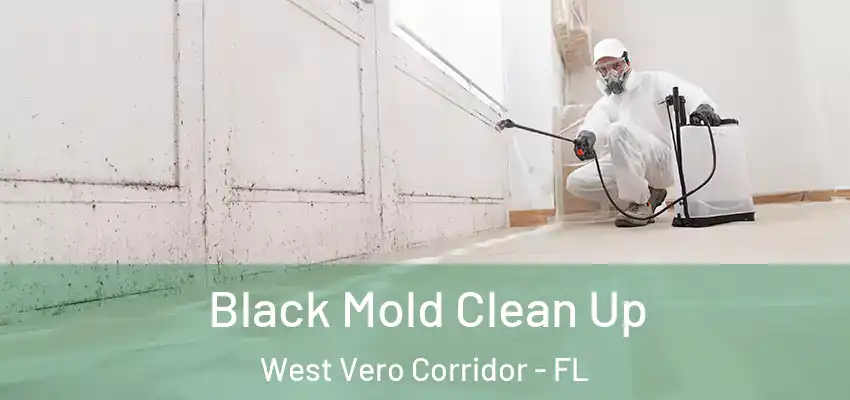  Black Mold Clean Up West Vero Corridor - FL