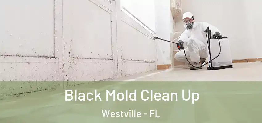  Black Mold Clean Up Westville - FL