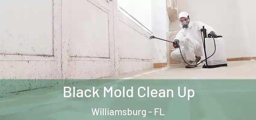  Black Mold Clean Up Williamsburg - FL