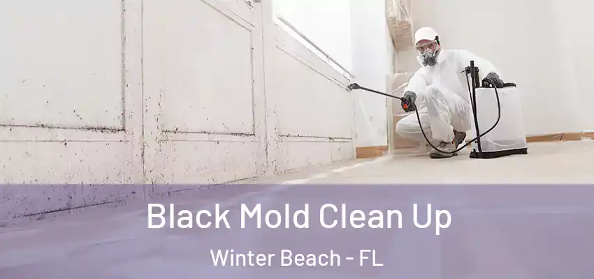  Black Mold Clean Up Winter Beach - FL