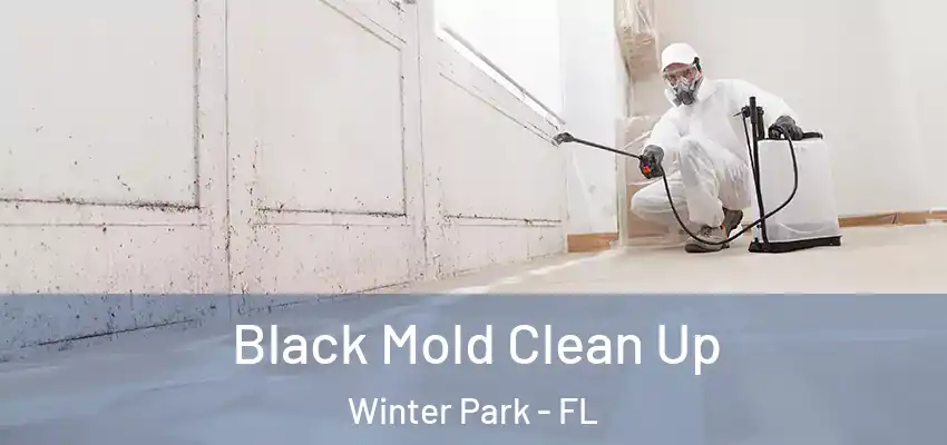  Black Mold Clean Up Winter Park - FL