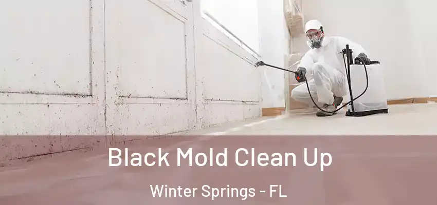  Black Mold Clean Up Winter Springs - FL