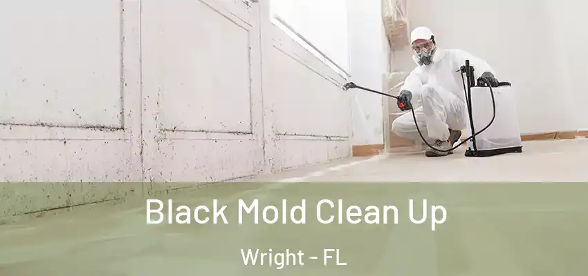  Black Mold Clean Up Wright - FL